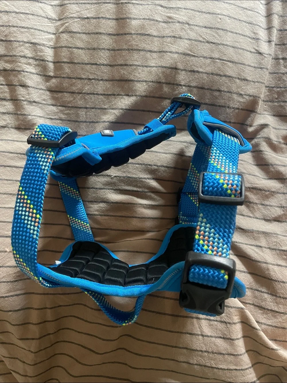 Arcadia Trail Blue Padded No-Pull Dog Harness